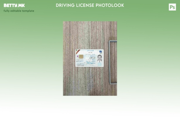 Модерен стил Иран DL photolook ФРОНТ шаблон