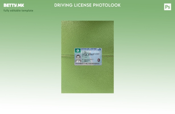 Модерен стил Ирска возачка дозвола (дозвола за ученик) го претставува предниот ш