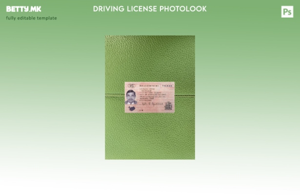 Модерен стил Исландска возачка дозвола со фото изглед на предниот шаблон
