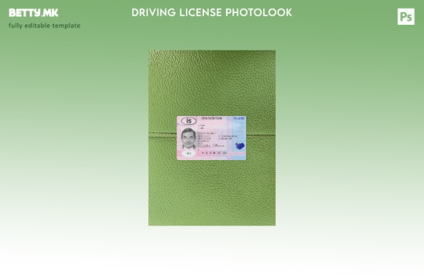 Модерен стил Исландската возачка дозвола претставува преден шаблон со фото изгле