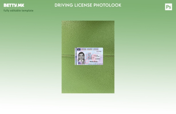 Модерен стил Косовската возачка дозвола претставува преден шаблон со фото изглед