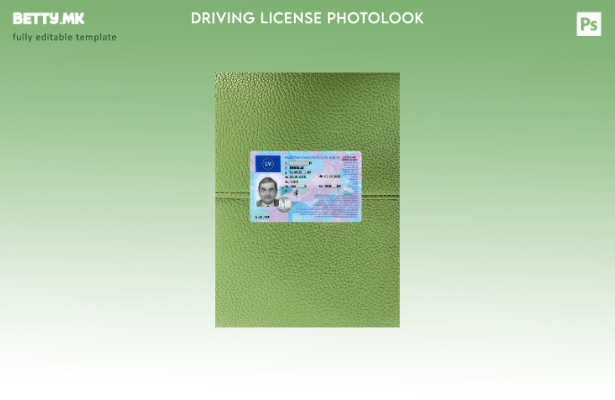 Модерен стил Латвија возачка дозвола фото изглед пред шаблон