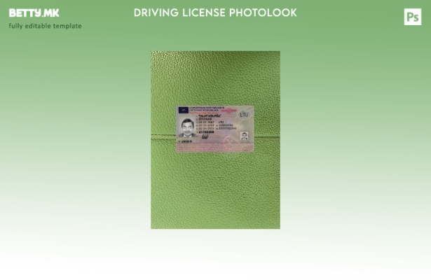 Модерен стил Литванската возачка дозвола претставува преден шаблон со фото изгле