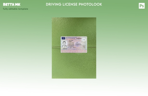 Модерен стил Литванската возачка дозвола претставува преден шаблон со фото изг 1