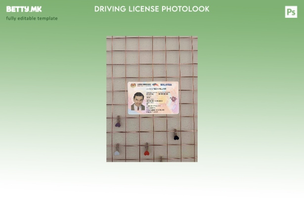 Модерен стил Малезија DL photolook ПРЕДЕН шаблон