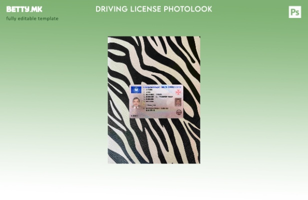 Модерен стил Малта возачка дозвола photolook ПРЕДЕН шаблон