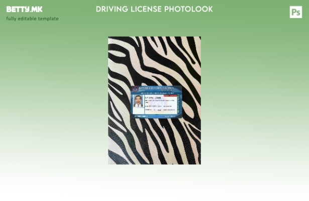Модерен стил Пакистан DL photolook FRONT шаблон