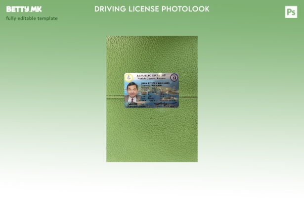 Модерен стил Палау возачка дозвола од предната страна шаблон фото изглед