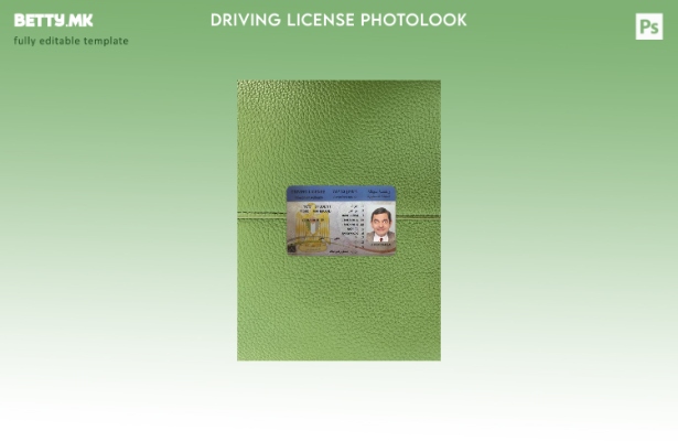 Модерен стил Палестинска возачка дозвола со фото изглед пред шаблон