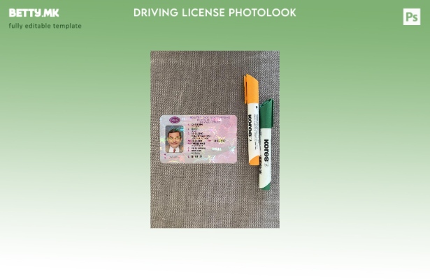 Модерен стил Руската возачка дозвола претставува преден шаблон со фото изглед