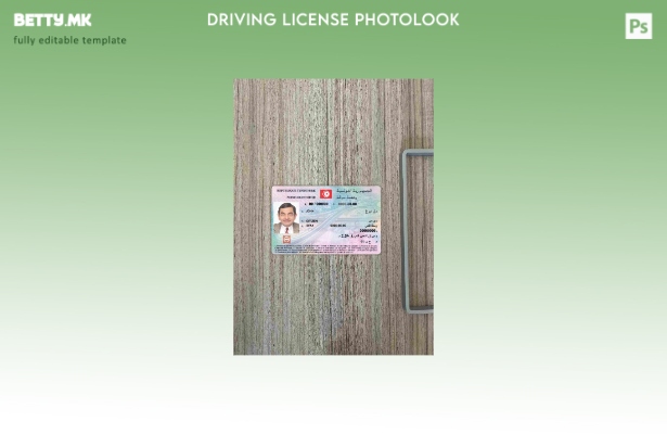 Модерен стил Тунис за возачка дозвола photolook ПРЕДЕН шаблон