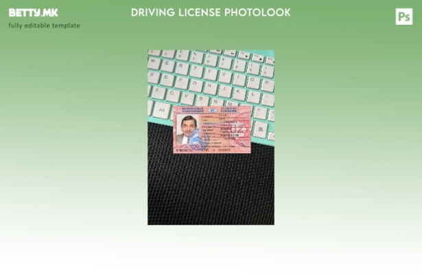 Модерен стил Узбекистан DL photolook FRONT шаблон