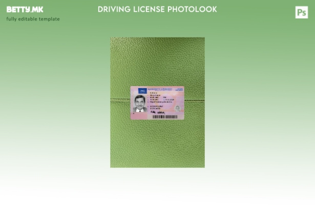 Модерен стил Финска возачка дозвола претставува преден шаблон со photolook