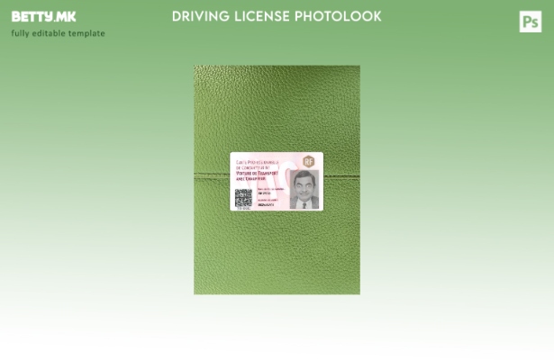 Модерен стил Француска професионална возачка картичка со фото изглед преден шабл