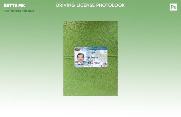 Модерен стил Шаблон за возачка дозвола Боливија ( – сегашна) photolook шаблон ПР