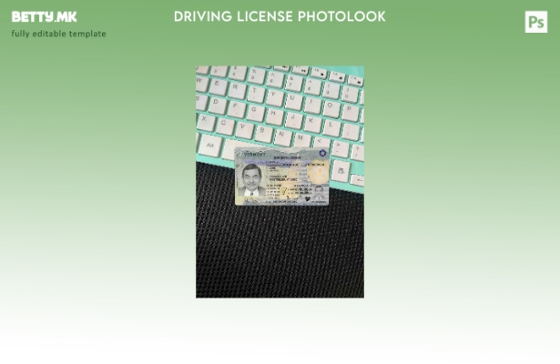 Модерен стил Шаблон за возачка дозвола САД Вермонт во формат PSD ( – сегашен) ша