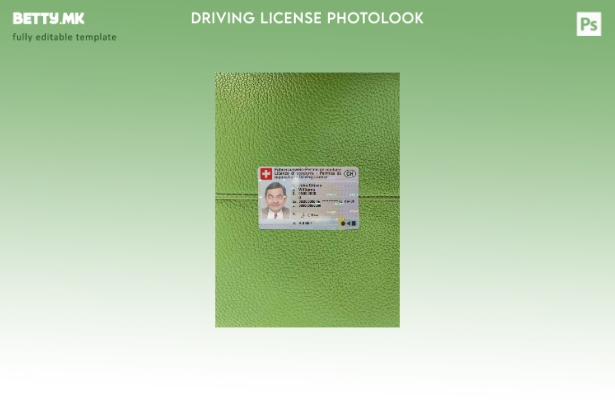 Модерен стил Швајцарија DL photolook ПРЕДЕН шаблон