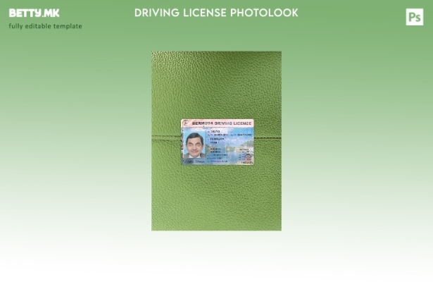 Модерен стил бермудски возачка дозвола, преден шаблон