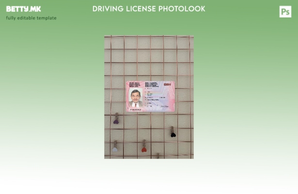 Модерен стил верзија на босна и Херцеговина возачка дозвола photolook преден шаб