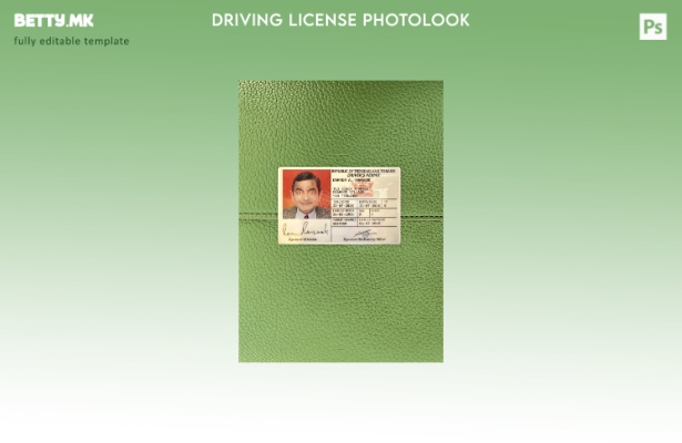 Модерен стил за возачка дозвола од Тринидад и Тобаго го претставува предниот шаб