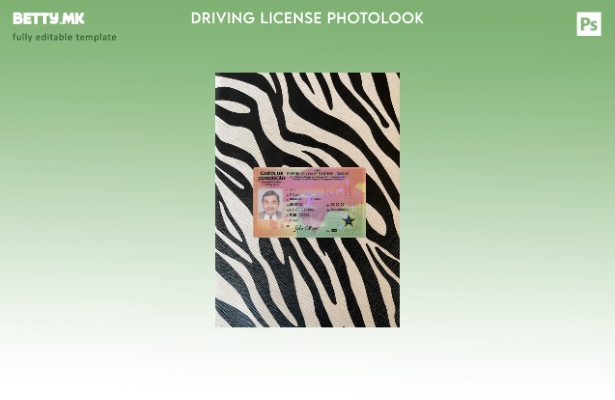 Модерен стил на Гвине Бисау за возачка дозвола, преден шаблон