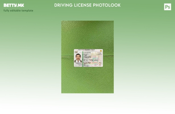 Модерен стил на Порторико DL photolook FRONT шаблон