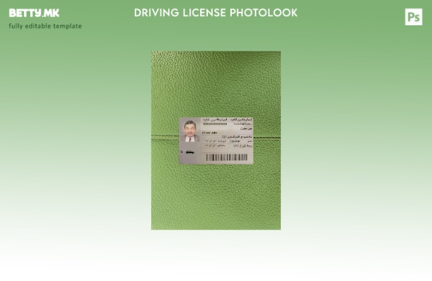 Модерен стил на египетска возачка дозвола со фото изглед преден шаблон