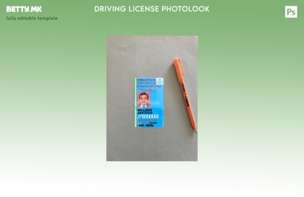 Модерен стил на нигериската меѓународна возачка дозвола, преден шаблон