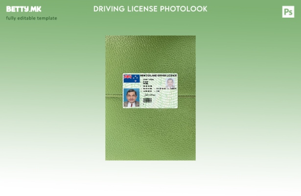 Модерен стил на новозеландската возачка дозвола, преден шаблон photolook