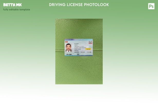 Модерен стил на предниот шаблон за фото изглед на возачка дозвола од Суринам