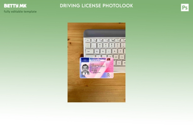 Модерен стил чешки DL photolook FRONT шаблон