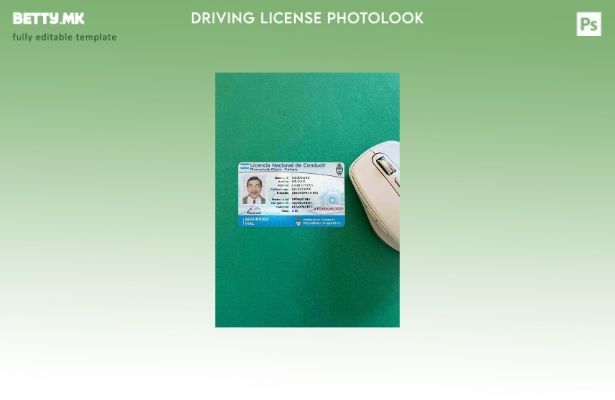 Модерен стил Argentina DL photolook FRONT шаблон