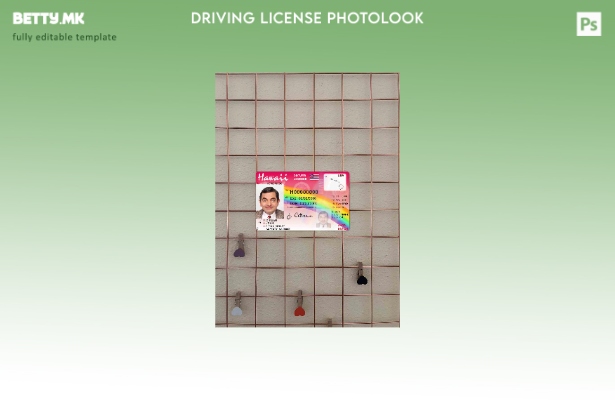 Модерен стил Hawaii DL photolook FRONT шаблон