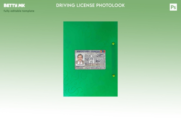 Модерен стил Mongolia DL photolook FRONT шаблон