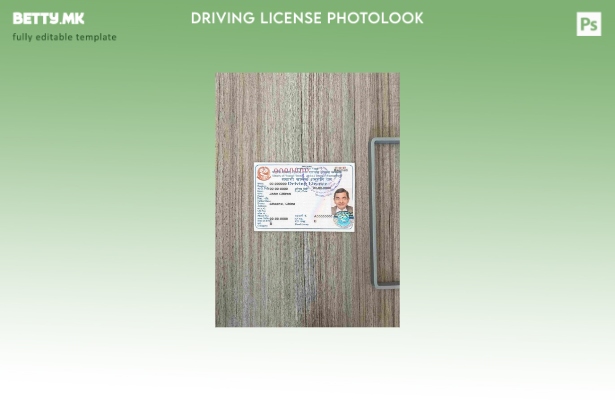 Модерен стил Nepal DL photolook FRONT шаблон