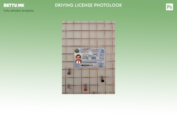 Модерен стил Oman DL photolook FRONT шаблон