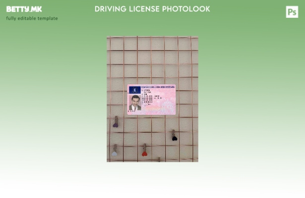 Модерен стил Spain DL FRONT шаблон