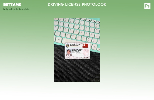 Модерен стил Tonga DL photolook FRONT шаблон