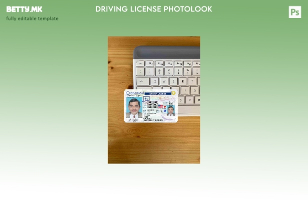 Модерен стил USA Connecticut DL photolook FRONT шаблон