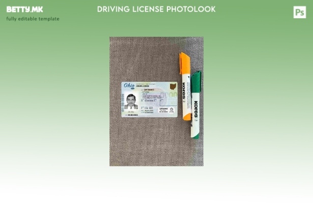 Модерен стил USA Ohio DL photolook FRONT шаблон