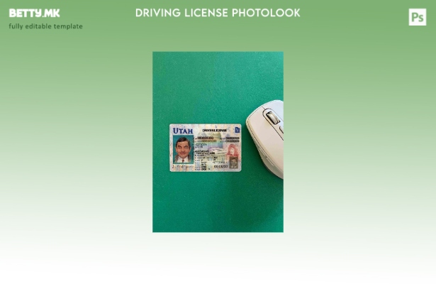 Модерен стил USA Utah DL photolook FRONT шаблон