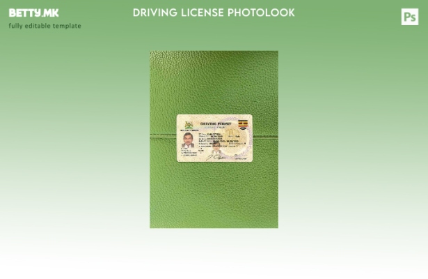 Модерен стил Uganda DL photolook FRONT шаблон