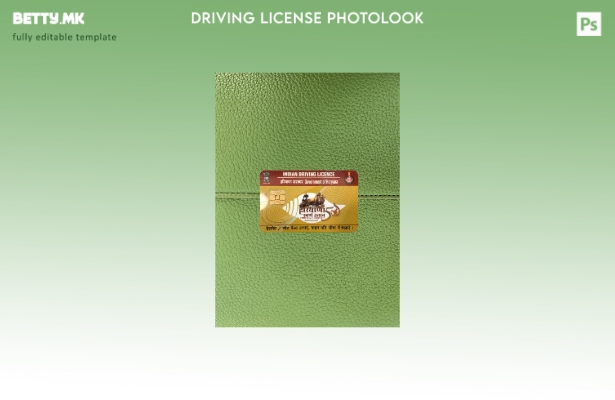 Модерен стил, преден шаблон со фото изглед на државната возачка дозвола Индија Х