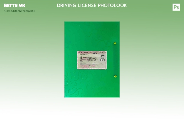 модерен стил Јужна Африка DL photolook ФРОНТ шаблон