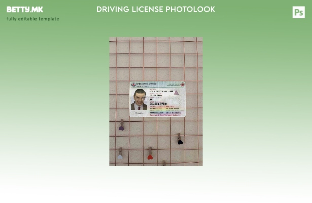 модерен стил Бангладеш DL верзија photolook шаблон FRONT 1