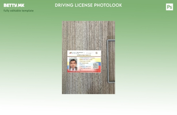модерен стил Венецуелската возачка дозвола претставува преден шаблон со фото изг