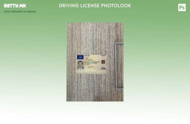 модерен стил Данска возачка дозвола претставува преден шаблон со фото изглед