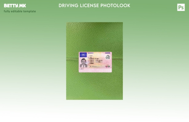 модерен стил Данска DL photolook FRONT шаблон