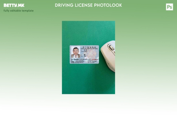 модерен стил Макао dl photolook ПРЕДЕН шаблон