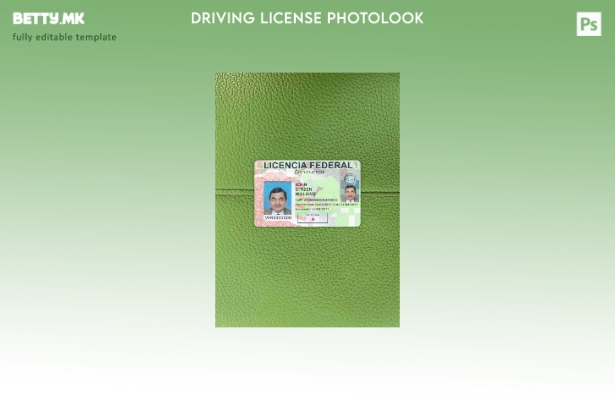 модерен стил Мексиканска возачка дозвола фото изглед ПРЕДЕН шаблон